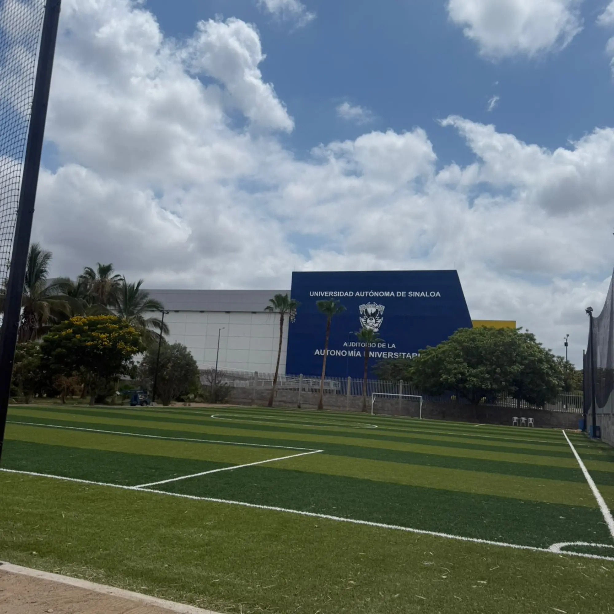 Venta e Instalación de Pasto Sintético